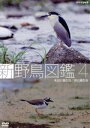 【中古】 新 野鳥図鑑 第4集 水辺に棲む鳥/渚に棲む鳥/(趣味/教養)