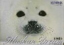 【中古】 Alaskan Dream(1) 星の物語 Alaskan dream1/星野道夫(著者)