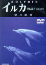 【中古】 イルカ　物語のはじまり／望月昭伸