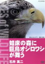 【中古】 知床の森に巨鳥オジロワシが舞う/石井英二