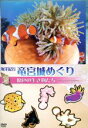 【中古】 海洋紀行・竜宮城めぐり〜VOL.2 原色の生き物たち/(自然)