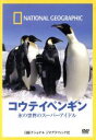 【中古】 ナショナル ジオグラフィック コウテイペンギン 氷の世界のスーパーアイドル/(ドキュメンタリー)