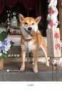 【中古】 お寺のハナちゃん/梶井照陰(著者)