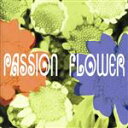 【中古】 Passion　Flower／T－SQUARE,T－SQUARE／THE　SQUARE