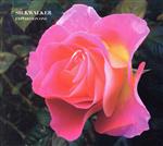 【中古】 Expedition　One／SILKWALKER