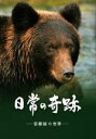 【中古】 日常の奇跡 安藤誠の世界/安藤誠(著者)