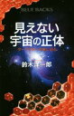  見えない宇宙の正体 ダークマターの謎に迫る ブルーバックス／鈴木洋一郎(著者)