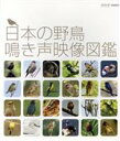 【中古】 日本の野鳥　鳴き声映像図鑑（Blu－ray　Disc）／（趣味／教養）