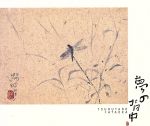 【中古】 夢の背中／片岡鶴太郎