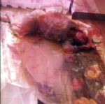 【中古】 I　hope　so（初回限定盤）（DVD付）／中森明菜
