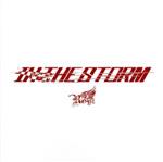 【中古】 IN　THE　STORM