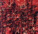 【中古】 Elevated Petal/Fugenn & The White Elephants