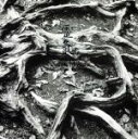 【中古】 靈氣 Healing Music for REIKI/宮下富実夫