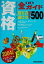 š (2004ǯ) ٥500ĽŹԽ(Լ)