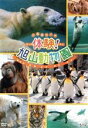 【中古】 北海道旭川市 体験!旭山動物園/(趣味/教養)
