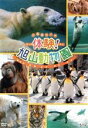 【中古】 北海道旭川市　体験！旭山動物園／（趣味／教養）