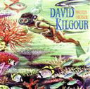 【中古】 【輸入盤】Frozen　Orange／DavidKilgour