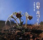 天野雄介販売会社/発売会社：文芸社発売年月日：2002/03/15JAN：9784835534183