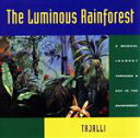 【中古】 【輸入盤】Luminous　Rainforest／Tajalli（アーティスト）