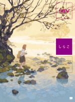  ILLUSTRATION　MAKING　＆　VISUAL　BOOK　しらこ／しらこ(著者)