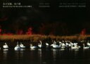 【中古】 水の宮殿、鳥の歌 The Danube Delta ドナウ・デルタ/みやこうせい(写真家),ダニエル・ペトレスク(写真家)