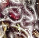 【中古】 【輸入盤】Violently: String Tribute to Bjork/(オムニバス)