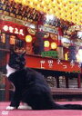 【中古】 岩合光昭の世界ネコ歩き 台湾/岩合光昭(撮影)