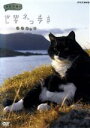 【中古】 岩合光昭の世界ネコ歩き ノルウェー/岩合光昭(撮影)
