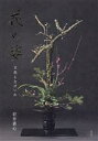 【中古】 花の姿 立花となげいれ/岩井素心(著者)