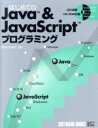 【中古】 はじめてのJava＆JavaScriptプログラミング／田中ひろゆき(著者)