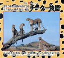 【中古】 チーター物語 平岩道夫&雅代 アフリカ動物ジャンル別写真集(3)/平岩道夫(著者),平岩雅代(著者)