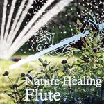 【中古】 Nature　Healing　Flute　～カフェで静かに聴くフルートと自然音～／武田和大