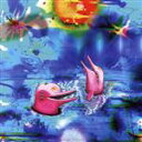 【中古】 Kudu + Pink Dolphins Special Edition/Anteloper