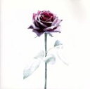 【中古】 Winter〜Winter Rose/Duet−winter Ver.−〜/東方神起