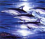 （オムニバス）販売会社/発売会社：ビクターエンタテインメント（株）(ビクターエンタテインメント（株）)発売年月日：1997/07/24JAN：4988002354740マリン・アート界の第一人者、クリスチャン・R・ラッセン監修／選曲／アートワークによるコンピレーション盤。　（C）RS