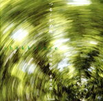 【中古】 しゃっきとせ　つるとかめIII／澤田勝秋／木津茂理