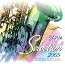 【中古】 CAFUAセレクション2005 吹奏楽コンクール自由曲選「エブリデイ・ヒーロー」/航空自衛隊西部航空音楽隊