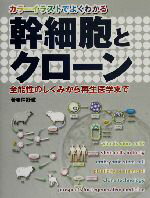 【中古】 幹細胞とクローン カラーイラストでよくわかる　全能性のしくみから再生医学まで／仲野徹(著者)