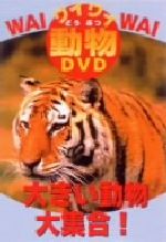 【中古】 ワイワイ動物DVD　大きい動物大集合！／（キッズ）
