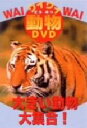 【中古】 ワイワイ動物DVD 大きい動物大集合!/(キッズ)