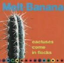 【中古】 CACTUSES　COME　IN　FLOCKS／Melt－Banana