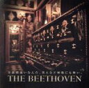 【中古】 全部間違いなんだ、答えなど何処にも無い。（ライブ会場限定盤）／THE　BEETHOVEN