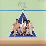 ����š� ����−FLASH−���ϥ����ե��������å�