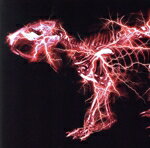 【中古】 グラデーション（初回生産限定盤A）（Blu−ray　Disc付）／SUPER　BEAVER