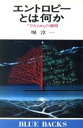 【中古】 エントロピーとは何か 「でたらめ」の効用 ブルーバックス／堀淳一(著者)
