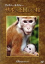 【中古】 ディズニーネイチャー/サルの王国とその掟/マーク・リンフィールド(監督、製作),ハリー・グレッグソン=ウィリアムズ(音楽)