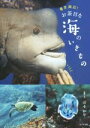 【中古】 東京周辺!お茶目な海のいきもの/塚本知早(著者)
