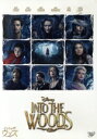【中古】 イントゥ・ザ・ウッズ/ジョニー・デップ,メリル・ストリープ,エミリー・ブラント,ロブ・マーシャル(監督、製作)