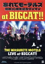 【中古】 忘れてモーテルズ結成10周年記念ワンマンat BIGCAT!!!/忘れてモーテルズ