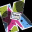 【中古】 KICK☆STAR super edition(DVD付)/Vlidge 99円